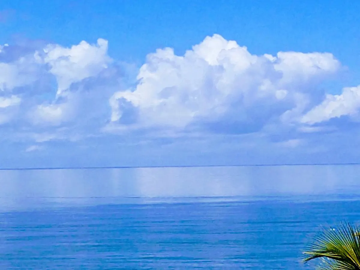 Casa D Amor Hotel Rincon
